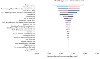 Economic Evaluation of First-Line Camrelizumab for Advanced Non-small-cell Lung Cancer in China